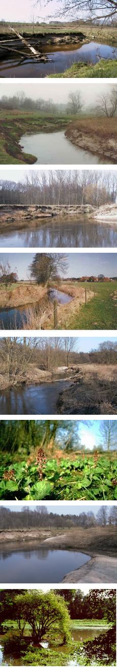 Ihr Partner fr Umweltgutachten: IVÖR