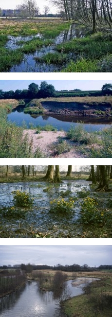 Ihr Partner fr Umweltgutachten: IVÖR