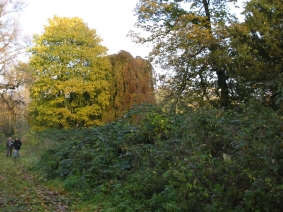 Ihr Partner fr Umweltgutachten: IVÖR